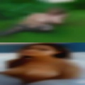 Personals wanted cock sucker