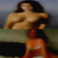 Whirpool nude picflorida wife