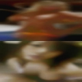 Forced married women galerysex
