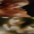 Guiet wife swaps with another