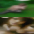 Masturbating thick cum loads
