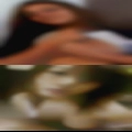Swingers wanting couples Saint