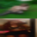 Nudedism Exira, 52732