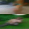 Anemels fuck caught him