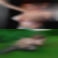Leave vedoes viginapics