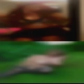 Pussy gold gril