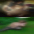 Women nearby who orale sex